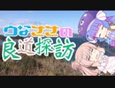 うなささの良道探訪 !「パールロード(伊勢エビはいません)」
