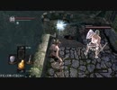ダークソウルリマスター（switch） カンスト不死街みんなで溶けるにゃー