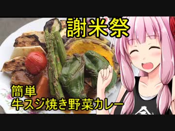 【謝米祭】簡単牛スジ焼き野菜カレー【茜ちゃん七輪焼き】