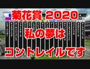 【競馬に人生】菊花賞 2020 私の夢はコントレイルですです バビット ロバートソンキー ヴェルトライゼンデ ダノングロワール ブラックホール ターキッシュパレス【競馬予想 完全攻略】