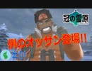 【ポケモン】冠の雪原を初見で楽しむ実況！part1