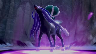 ポケモン剣盾 冠の雪原 決戦 VS黒バドレックス