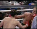 ボクシング スベン・オットケ vs ジェイソン・ハート