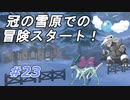 【実況】冠の雪原で懐かしいポケモン発見！【ポケットモンスター シールド】Part23