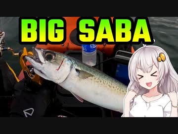 【VOICEROIDフィッシング】楽しいカヤックフィッシング #3 ジギング