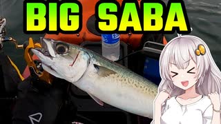 【VOICEROIDフィッシング】楽しいカヤックフィッシング #3 ジギング