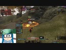 シロディールの黄色いやつ.PvP