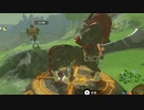依頼を受けて、二本の槍を持ちつつ武装中の獣で祠が出現するか試してみた