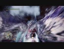 【MHW:IB】歴戦王イヴェルカーナ_制限プレイ【片手剣】