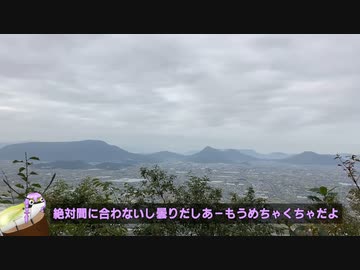 【手抜き祭】台風直後のバス凸飯野山RTA 00:31:56【VOICEROID】