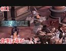 【FF9HD】いったい誰がそんなひどいことを！【実況】#11