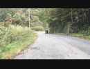 【車載動画】国道406号～奥裾花峡谷