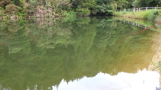 ウキを眺めてのんびり淡水魚釣り17【カワムツ】