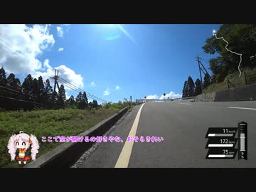 放浪ローディはどこまでも【自転車車載】