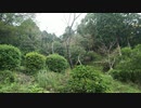 風に聞け201023  Pouring Out - Asher Fulero