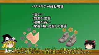 【ゆっくり解説】なぜ足は臭くなるのか？原因物質と改善方法を科学的に解説