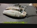 締めたイカと締めないイカの食べ比べ