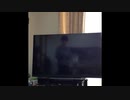 映像なしでWii Sportsのボウリングをしました。