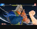 CCF.ストリートファイターⅤ 必殺技集 19/40 是空
