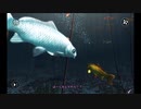 目と耳と心を癒してくれる鯉に恋するゲーム