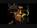 Visceral Bleeding - Absorbing the Disarray