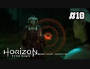 【ホライゾンゼロドーン】死に至る相続#10 (実況動画)