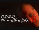 CoDWWⅡ the merciless field: 13