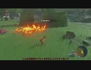 【ゆっくり実況】　ゼルダの伝説BotW　#4