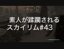 【素人が蹂躙されるスカイリム】実況プレイ_part43