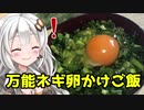 【謝米祭】【ネギ卵かけご飯+米の研ぎ方】家事初心者の多分美味しい料理 #4