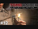 #12 誰にでもできるコトじゃない【Tomb Raider DE】