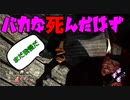 Dead_by_Daylight  『トラッパー奮闘記♯145』