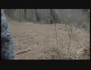 供物「いる。」～怖すぎる投稿映像13本～Vol.30