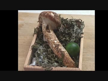 ご立派様をしゃぶしゃぶ【長火鉢とおっさん180】