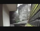 悪行防止監視カメラ「恐すぎる監視カメラ 　呪われた禁断映像集　10編」