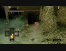 持たざる者が忘れ物をしたようです34【DARKSOULS縛りプレイ】