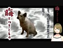#36 晦-つきこもり 実況プレイ 和子とボールと犬の夢