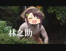 【三国志大戦】最強の忠誠デッキはなんだろう？68【天下統一戦】