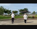 【初投稿】drop pop candy踊ってみた【INSARIT】