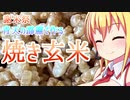 【謝米祭】青天の霹靂で作る焼き玄米【弦巻マキ】