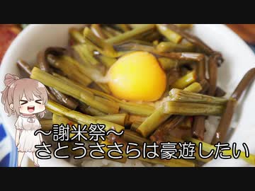 謝米祭【CeVIOキッチン】さとうささらは豪遊したい