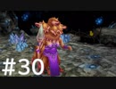 【FF3】クリスタルとひよこの話 30【Steam版】