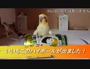 いいちこのハイボールが出ました！