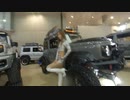 東京オートサロン2020 Tokyo Auto Salon 2020 #261