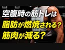 【空腹時の筋トレ】脂肪燃焼効果がある？筋肉が減る？【ビーレジェンド プロテイン】