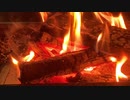 焚き火　焚火　炭火  Bonfire