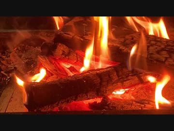 焚き火　焚火　炭火  Bonfire