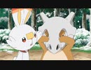 ポケットモンスター　第1話～第50話　第15話　雪の日、カラカラのホネはどこ？