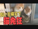 飼い主と４時間だけ離れ離れになった結果…