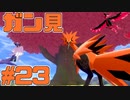 【実況】ポケモンソードをチョコる part23鳥との邂逅編